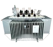 Oil-immersed Transformer